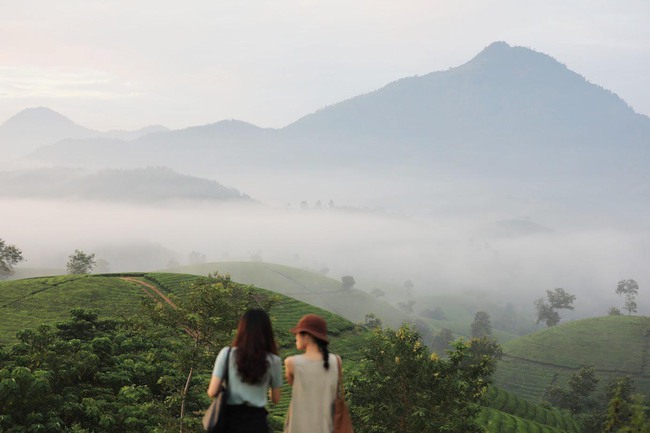 Long Cốc từ cây chè đến sản phẩm văn hóa, du lịch - Ảnh 6.