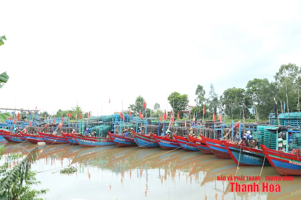 Chủ tịch UBND tỉnh Đỗ Minh Tuấn kiểm tra công tác ứng phó với bão số 5 tại phường Hải Bình và xã Tiên Trang