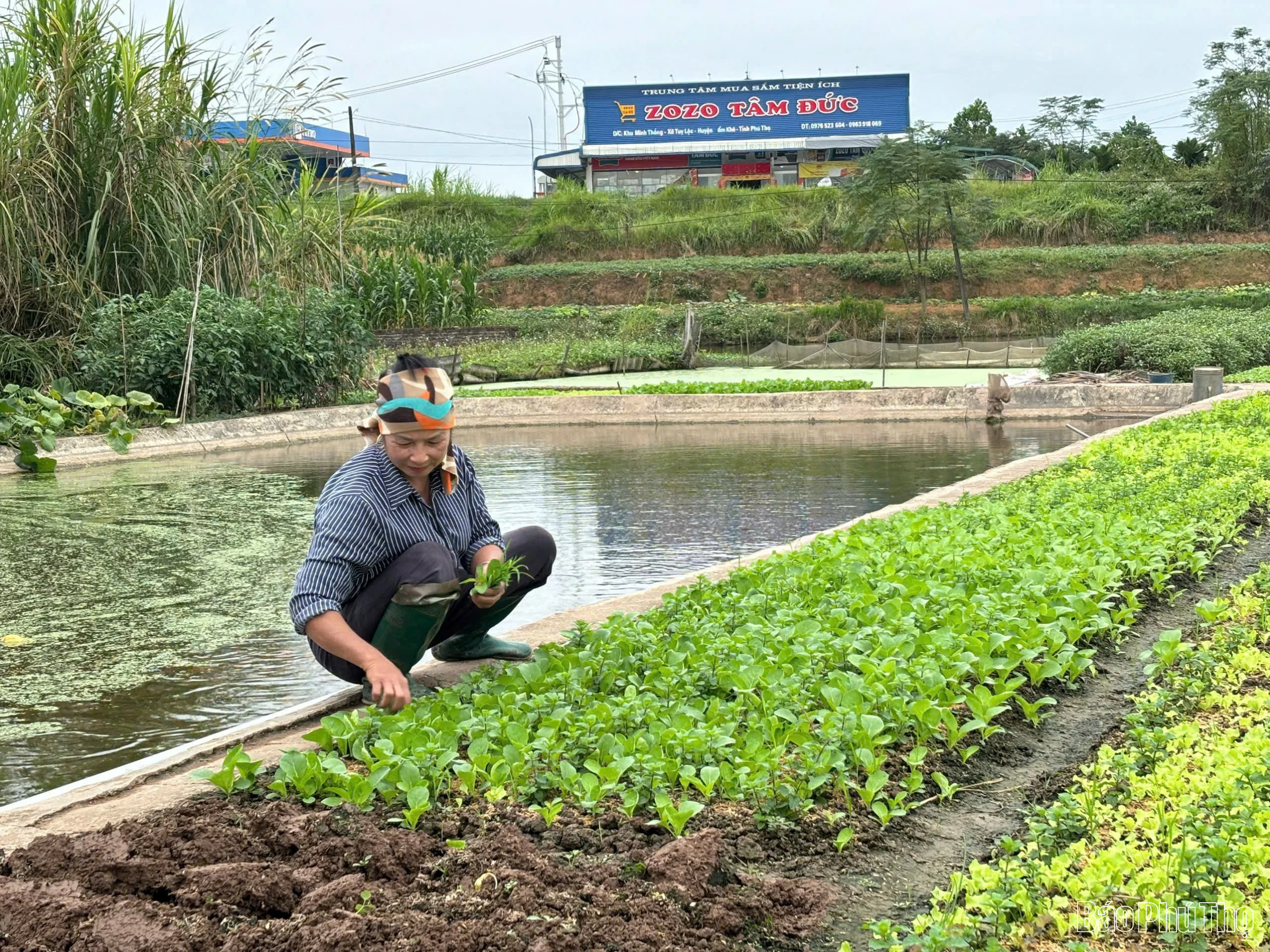 Phụ nữ Tiên Lương làm theo lời Bác
