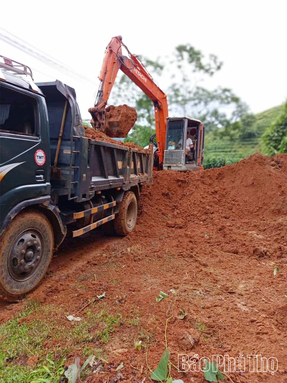 Trên 400 nhà bị hư hỏng, tốc mái, 3.700ha lúa, ngô rau màu bị ảnh hưởng do bão số 5