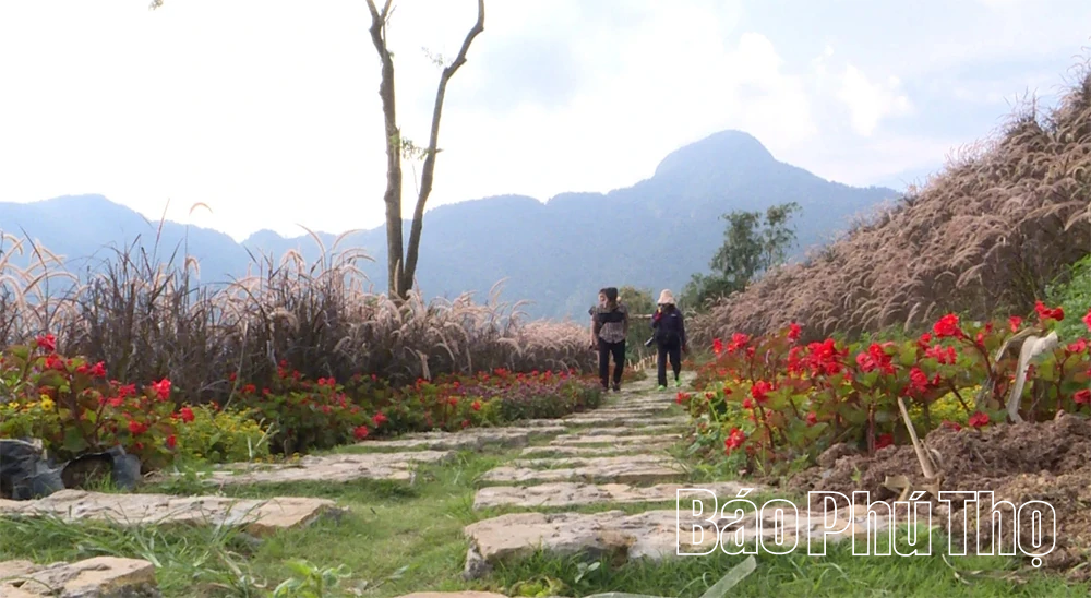 Chàng trai Sán Dìu thổi làn gió mới vào du lịch Tam Đảo