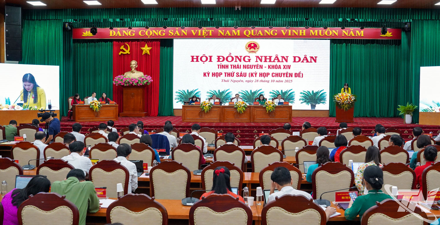 Quang cảnh Kỳ họp thứ Sáu (kỳ họp chuyên đề) của HĐND tỉnh khóa XIV