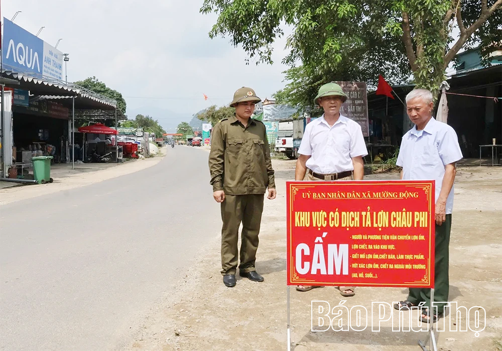Kinh nghiệm ngăn ngừa, phòng chống dịch tả lợn châu Phi tại Kim Đức