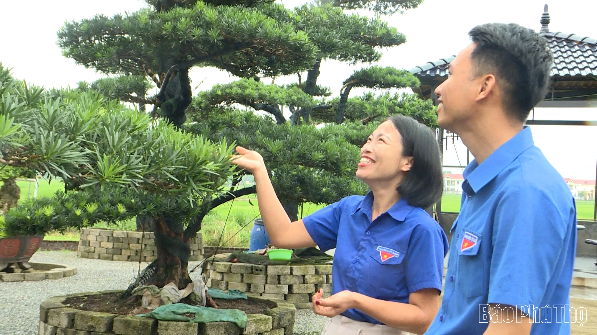 Thanh niên Sơn Đông “số hóa” di sản: Khởi động kỷ nguyên số trên đất Tổ