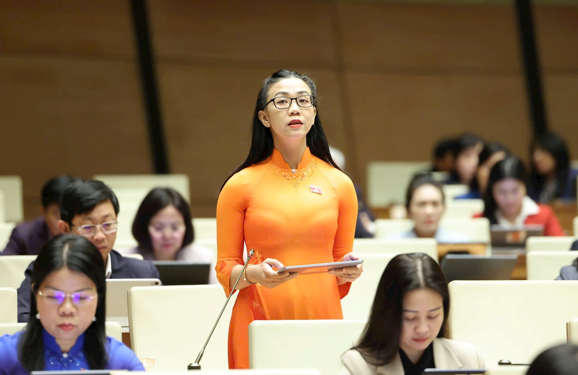 Đại biểu chuyên trách Trịnh Thị Tú Anh - Đoàn Lâm Đồng góp ý sâu sắc về cơ chế xây dựng Khu Thương mại tự do tại Thành phố Hồ Chí Minh