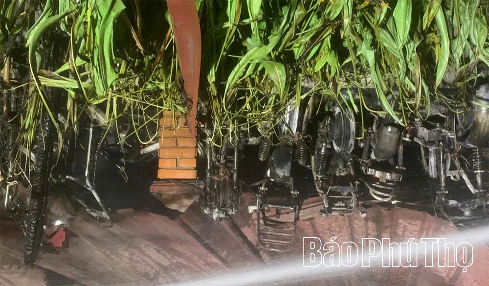 Kịp thời dập tắt đám cháy tại Khu du lịch Vườn Vua, xã Tu Vũ