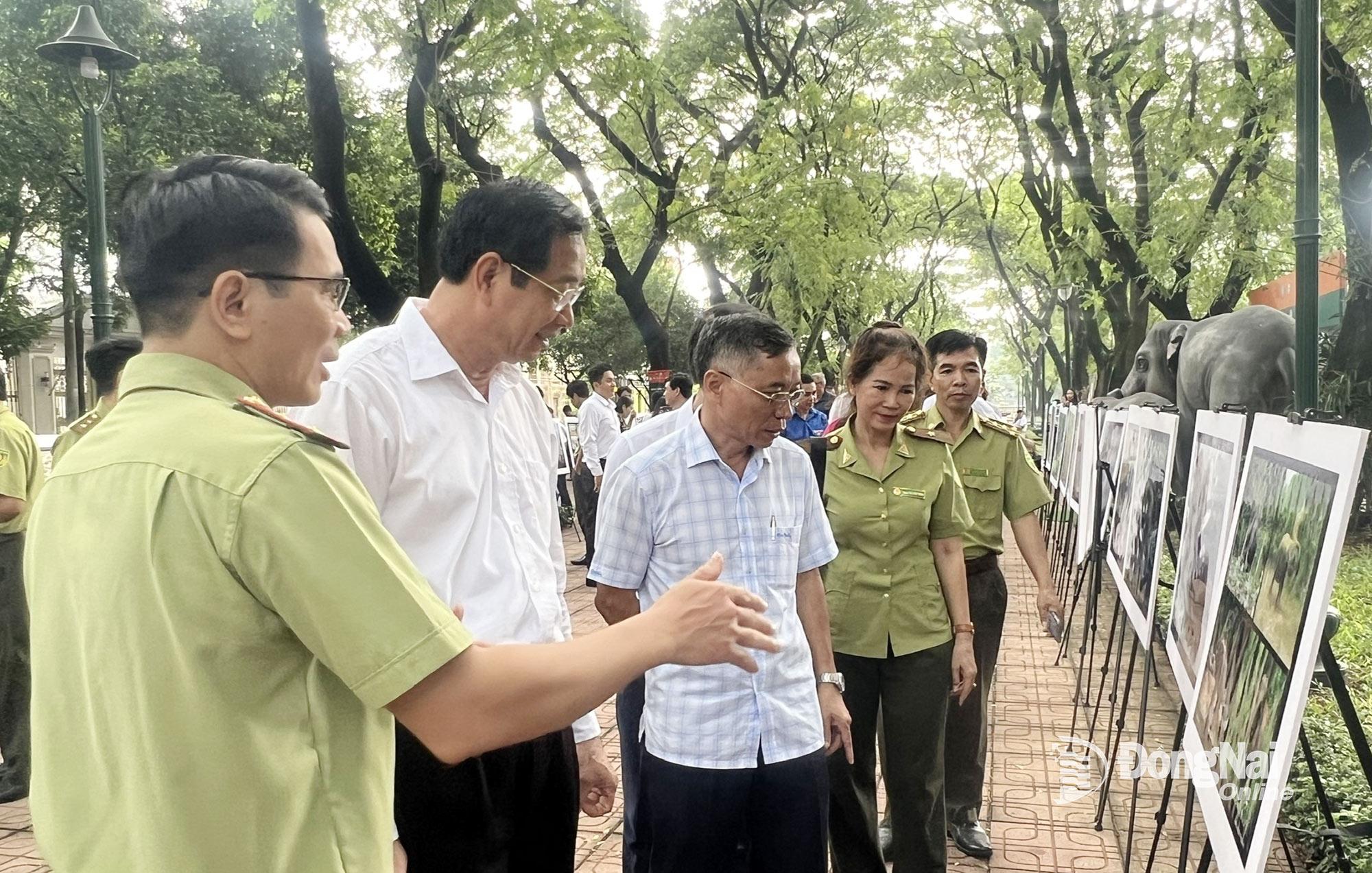 Triển lãm ảnh voi trong khuôn khổ Tuần lễ Bảo tồn voi tại Đồng Nai năm 2023. Ảnh: Hoàng Lộc