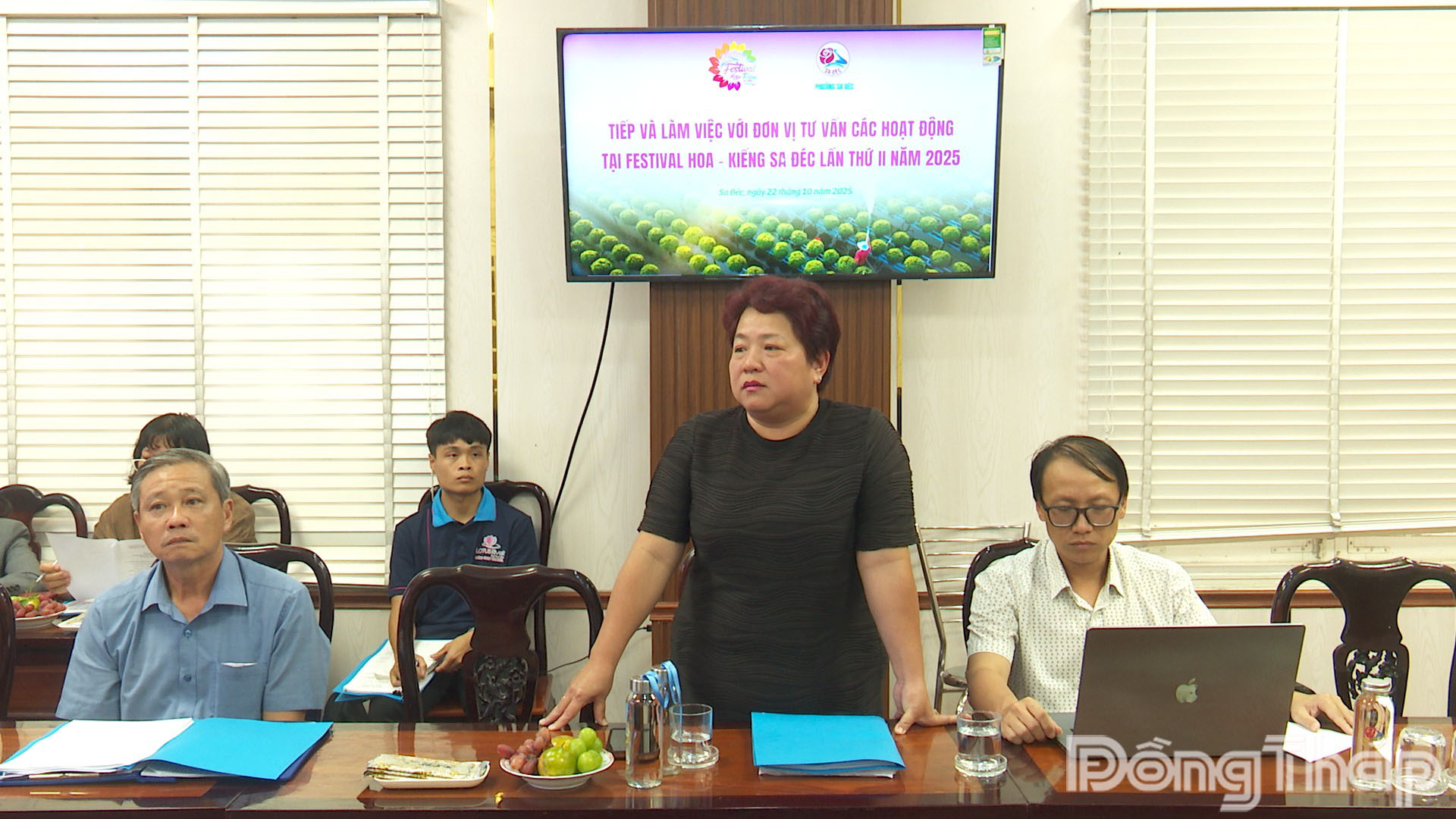 Đơn vị tư vấn báo cáo về ý tưởng thực hiện các hoạt động của Festival