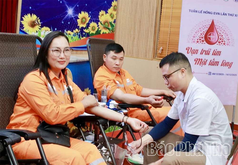 Hưởng ứng Tuần lễ hồng EVN lần thứ XI