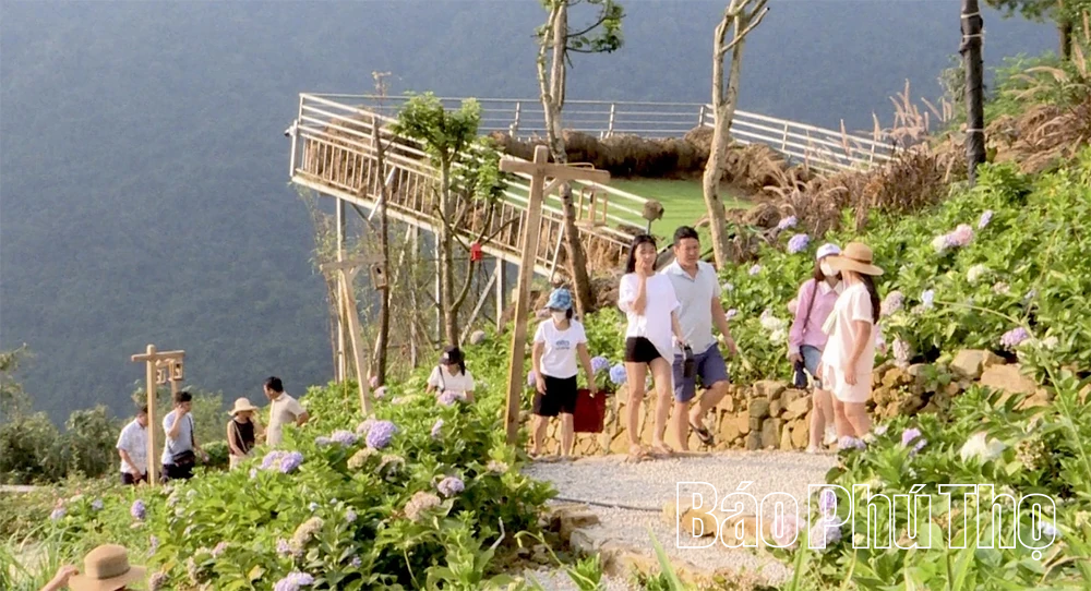 Chàng trai Sán Dìu thổi làn gió mới vào du lịch Tam Đảo