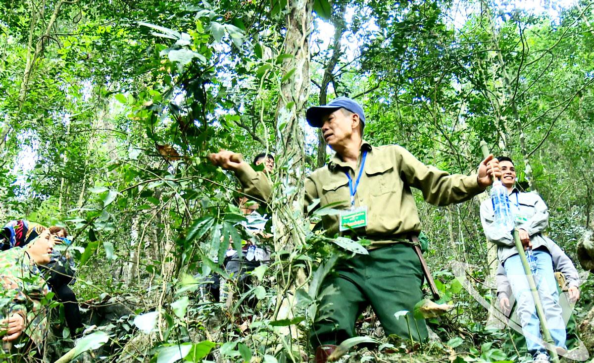 Tuần tra rừng tại Khu bảo vệ cảnh quan Thác Giềng.