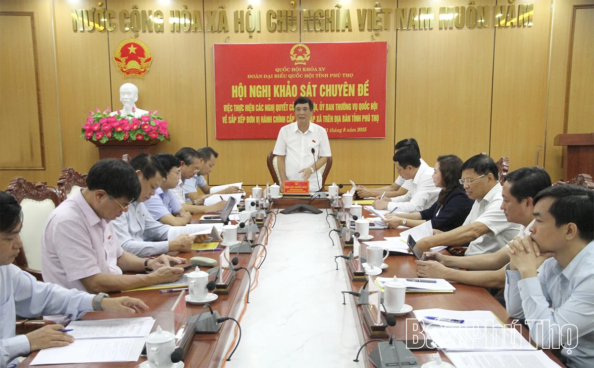 Đoàn ĐBQH tỉnh khảo sát việc thực hiện các nghị quyết về sắp xếp đơn vị hành chính tại xã Tam Đảo