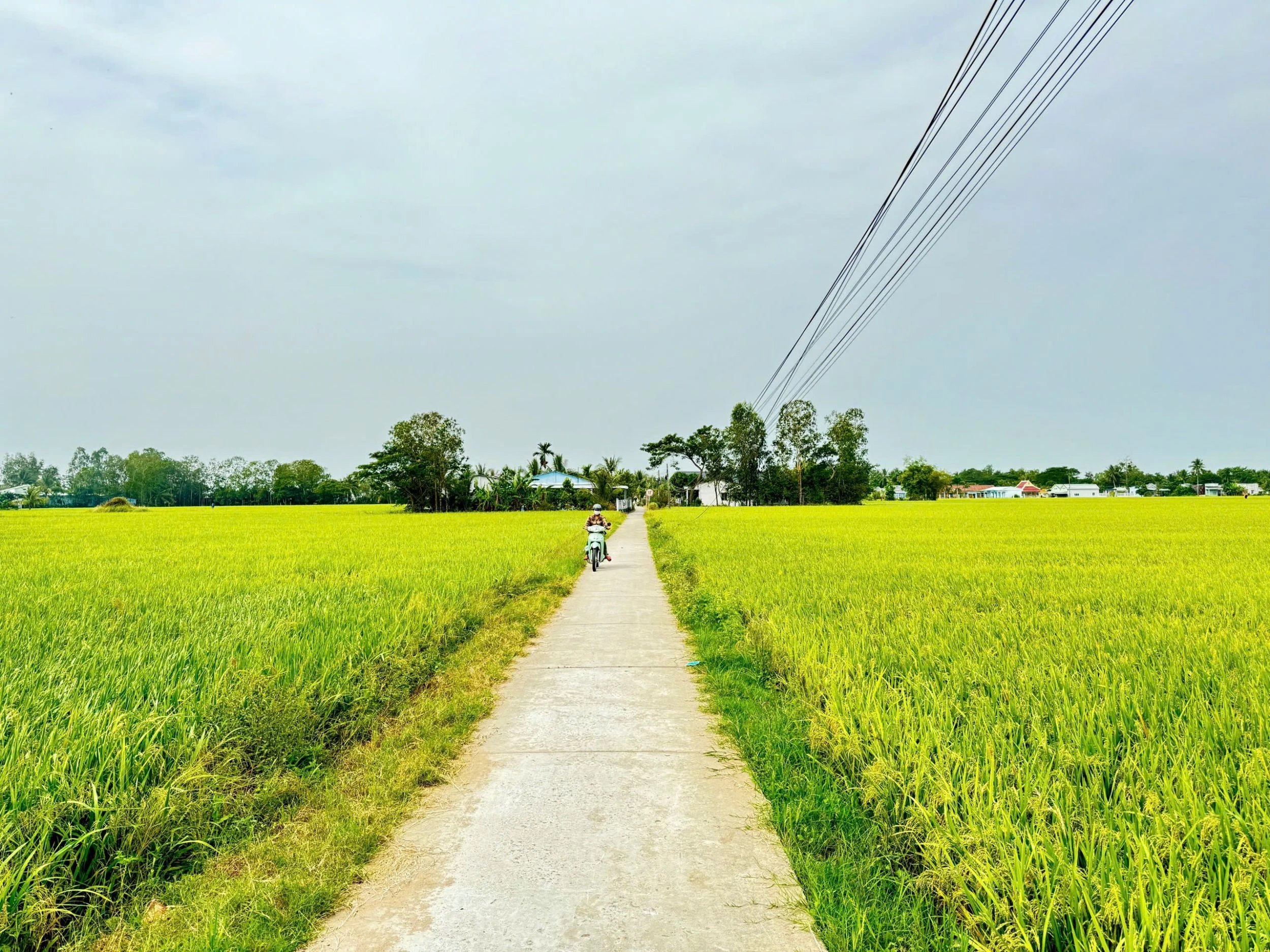 Xã Mỹ Hương khát vọng vươn mình trong nhiệm kỳ mới