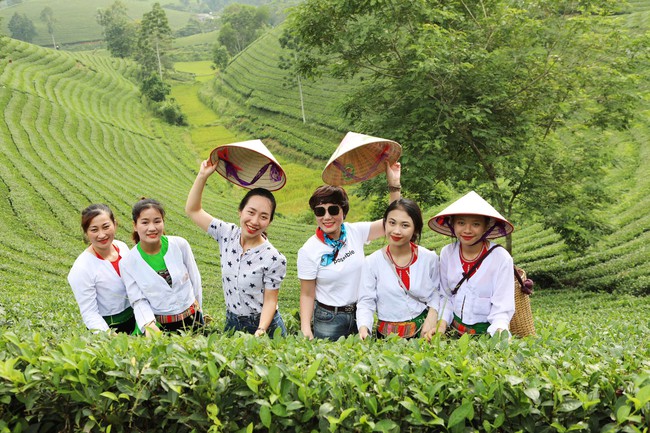 Long Cốc từ cây chè đến sản phẩm văn hóa, du lịch - Ảnh 9.