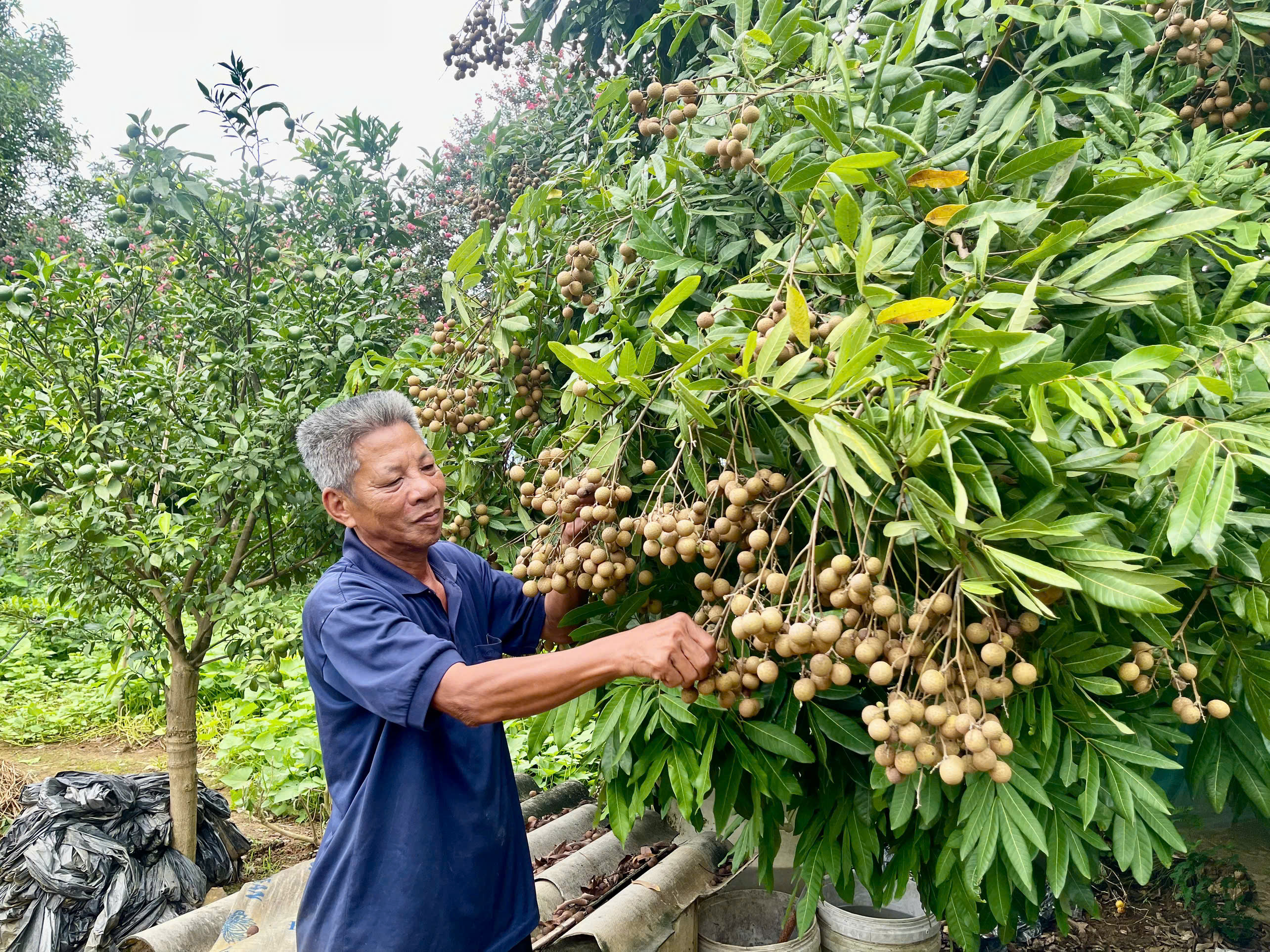 anh tin bai