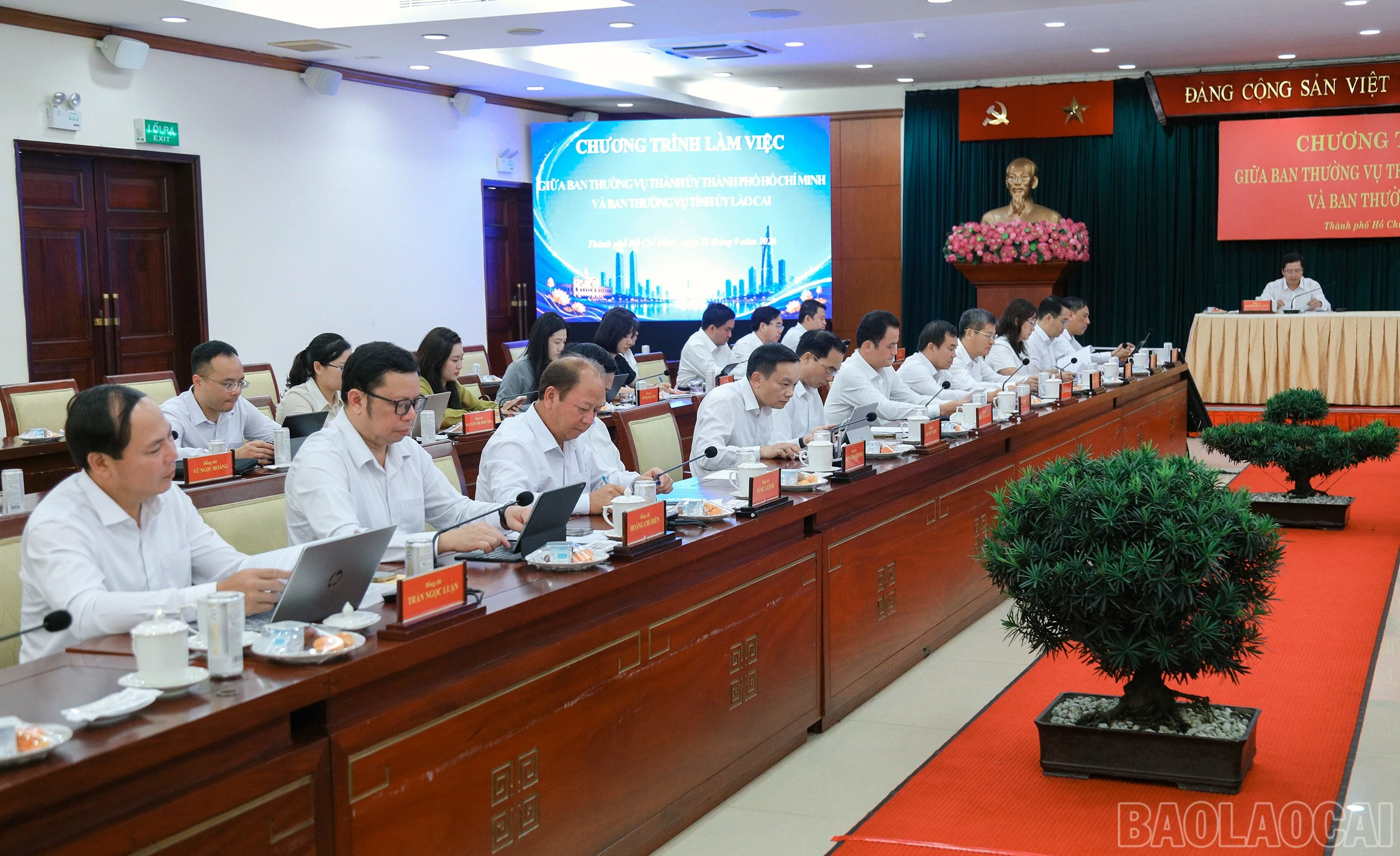 baolaocai-br_7j5a7419.jpg