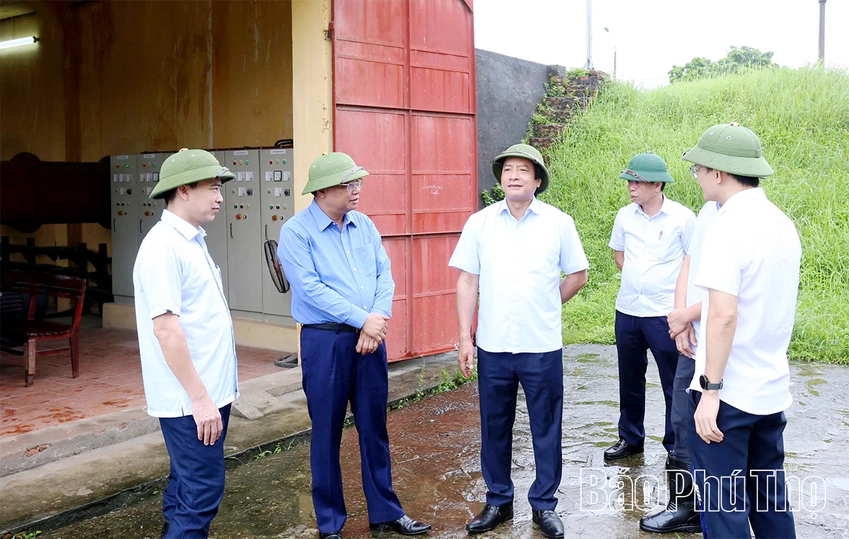 Phó Chủ tịch UBND tỉnh Nguyễn Mạnh Sơn kiểm tra, chỉ đạo công tác tiêu úng trên địa bàn tỉnh