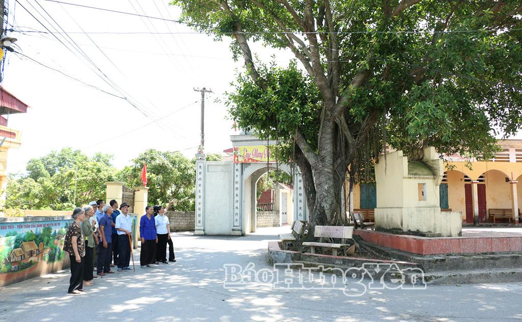 Cây đa Ninh Thôn, xã Nguyễn Trãi - địa điểm bí mật của cách mạng trong thời kỳ kháng chiến chống thực dân Pháp.