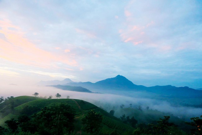 Long Cốc từ cây chè đến sản phẩm văn hóa, du lịch - Ảnh 2.
