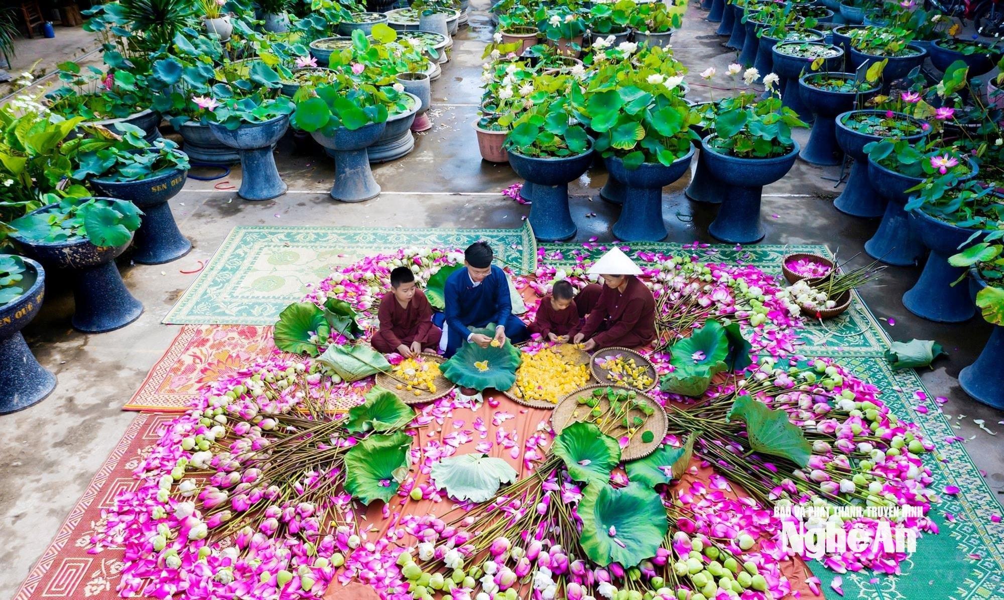 Nghề làm trà sen ở Kim Liên. Ảnh: Nhật Ta