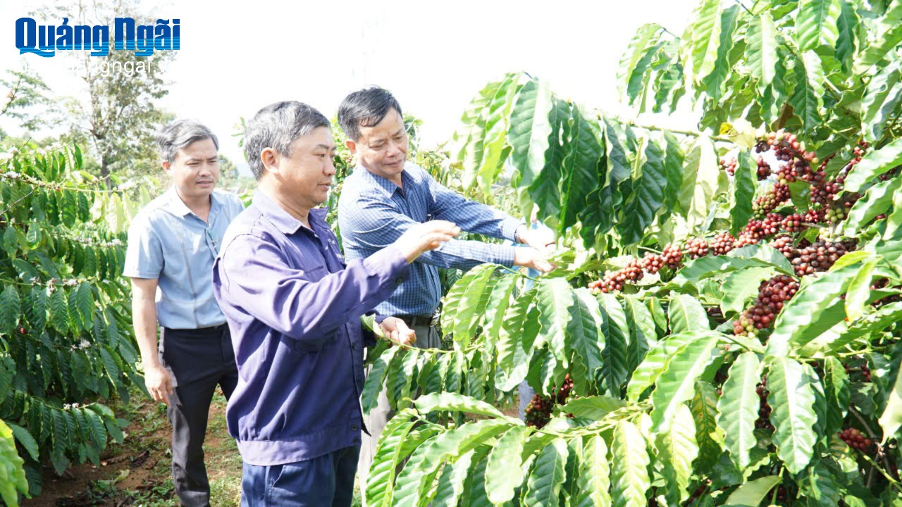 Báo và Phát thanh, Truyền hình Quảng Ngãi