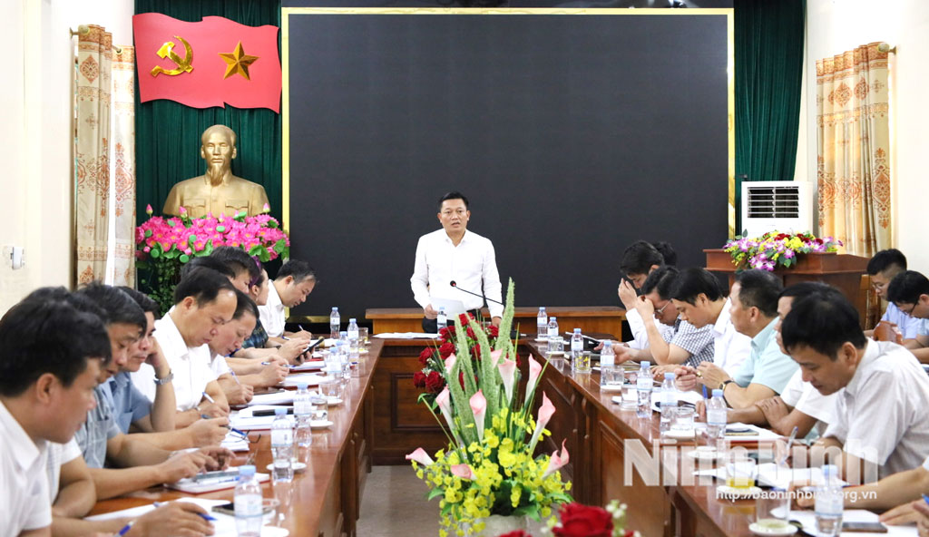 Đồng chí Phó Chủ tịch UBND tỉnh Nguyễn Cao Sơn phát biểu kết luận buổi làm việc.