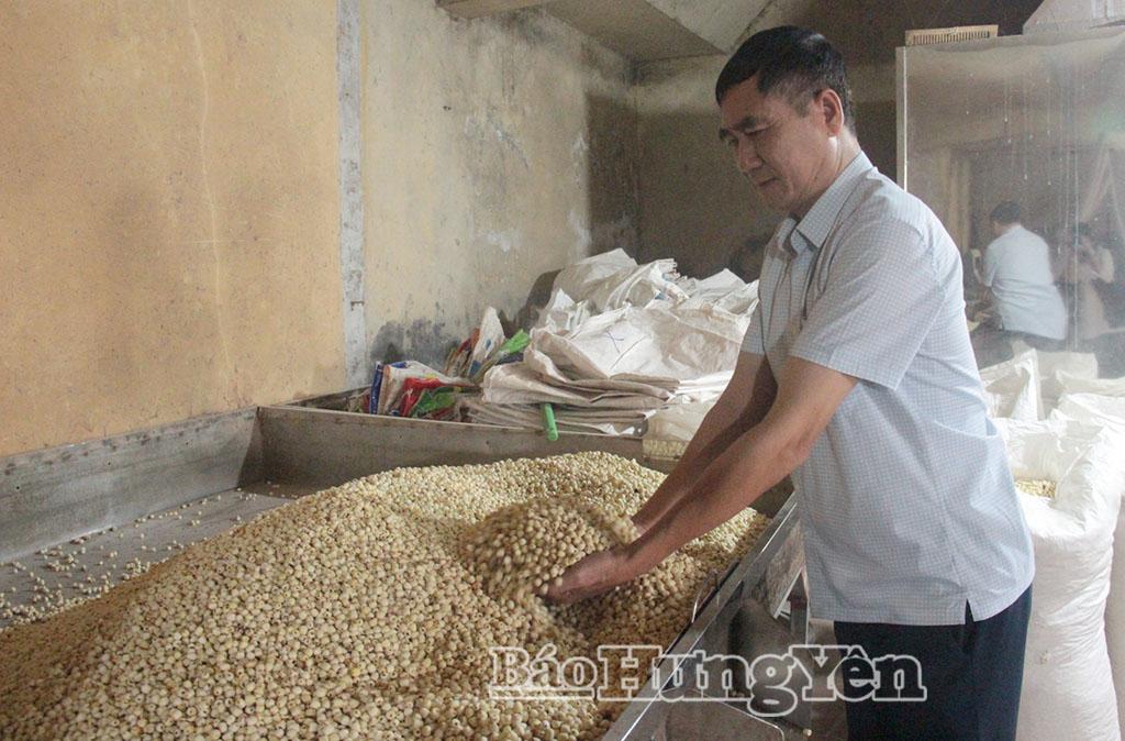 Ông Tái kiểm tra sản phẩm hạt sen.