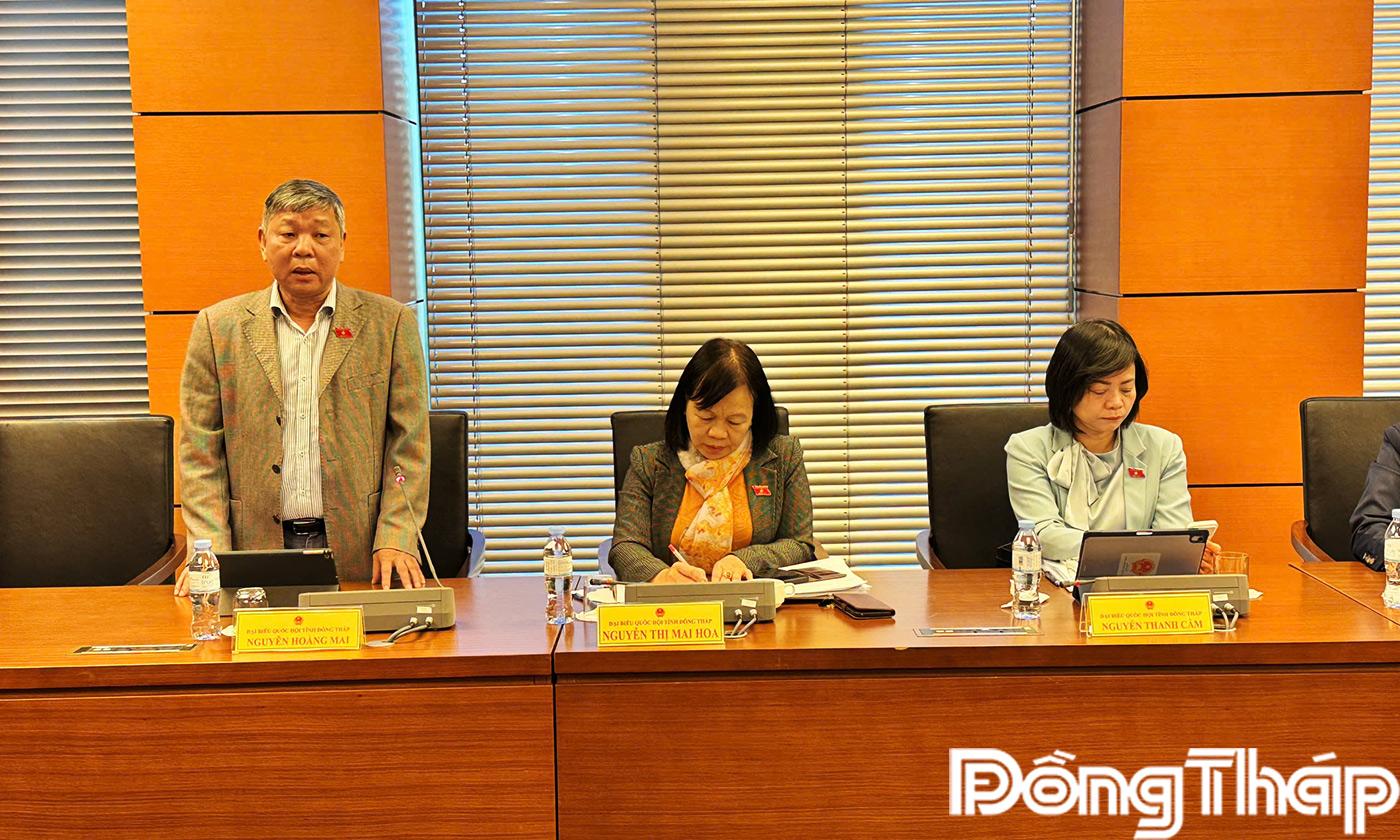 Đại biểu Nguyễn Hoàng Mai phát biểu thảo luận 