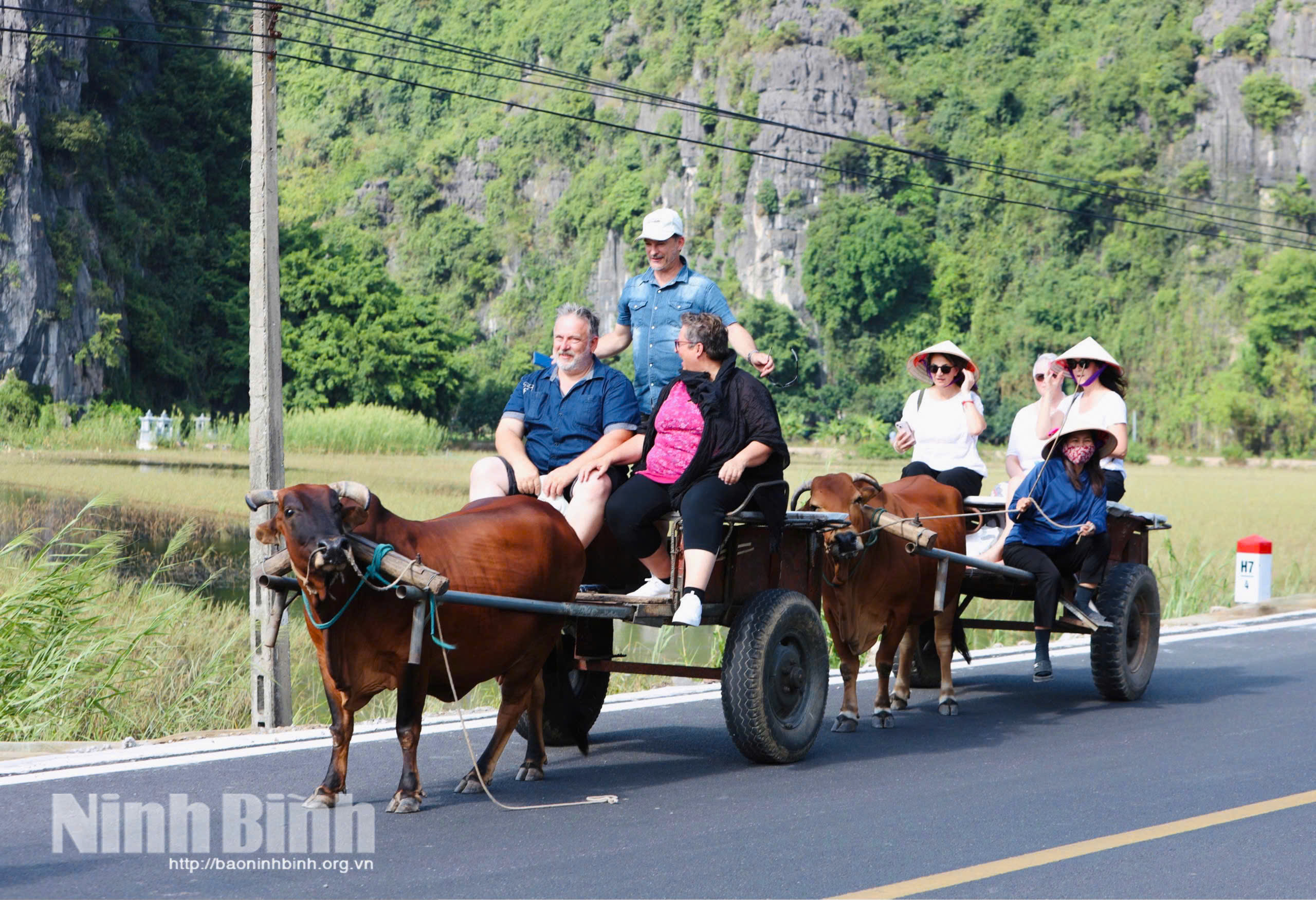 Du khách quốc tế trải nghiệm tour du lịch đồng quê ở phường Nam Hoa Lư.