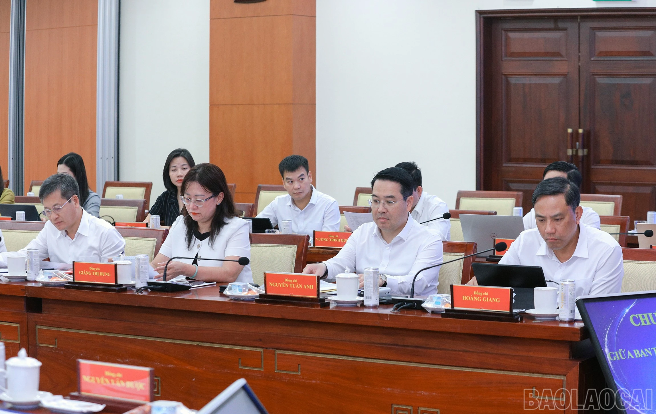 baolaocai-br_7j5a7460.jpg