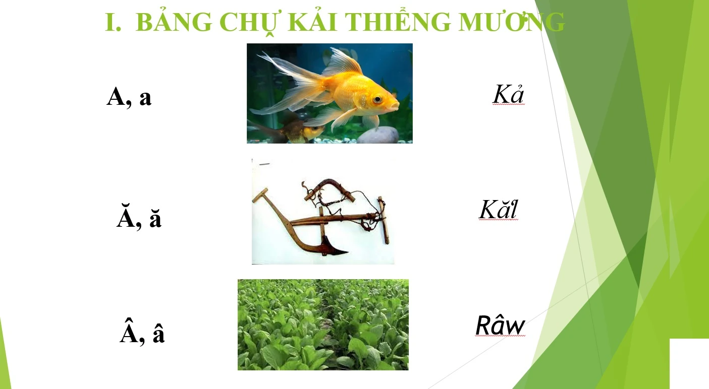 Bảo tồn và lan tỏa tiếng nói, chữ viết dân tộc Mường