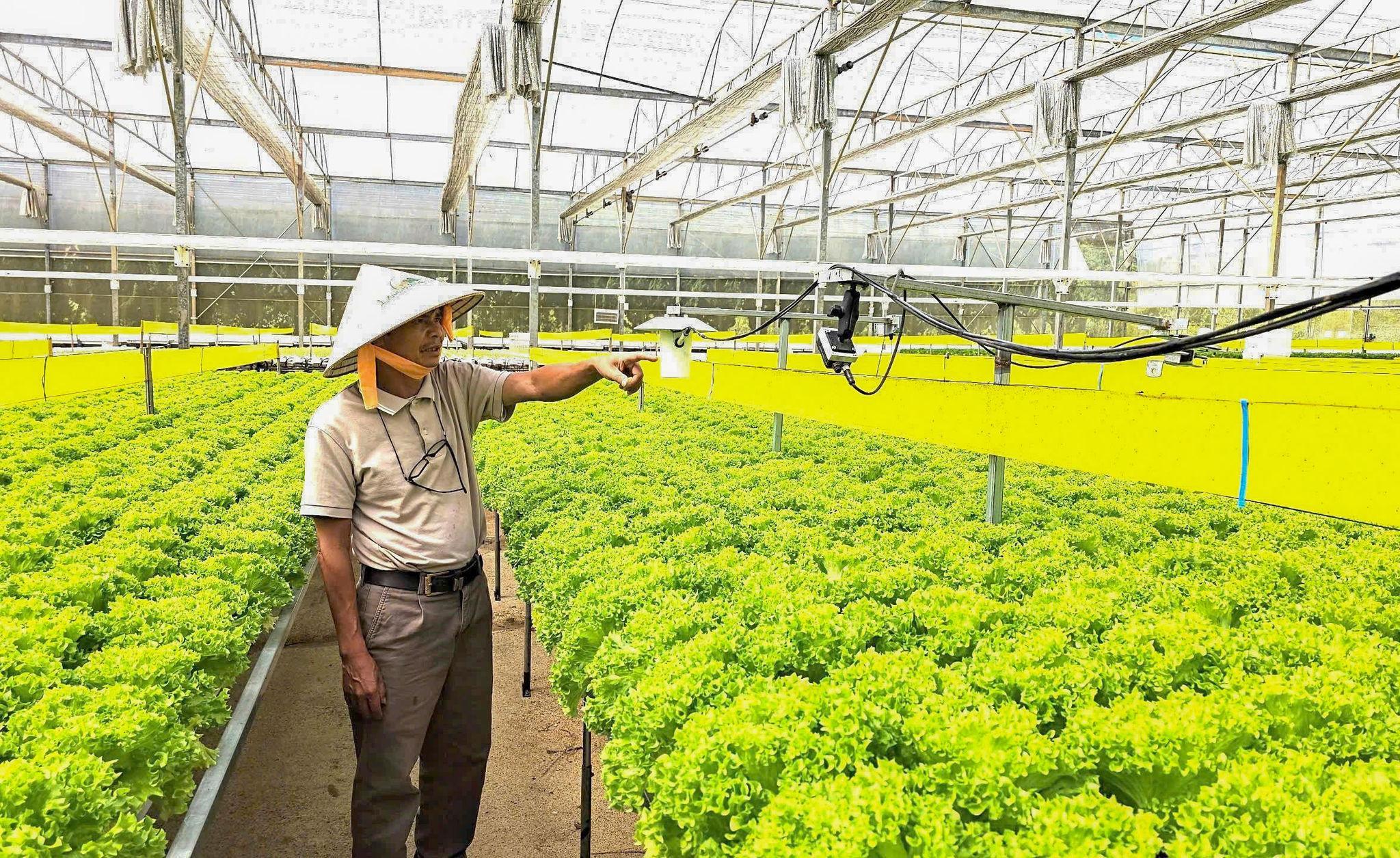 3. Nông dân Đà Lạt ứng dụng công nghệ IoT trong sản xuất nông nghiệp.