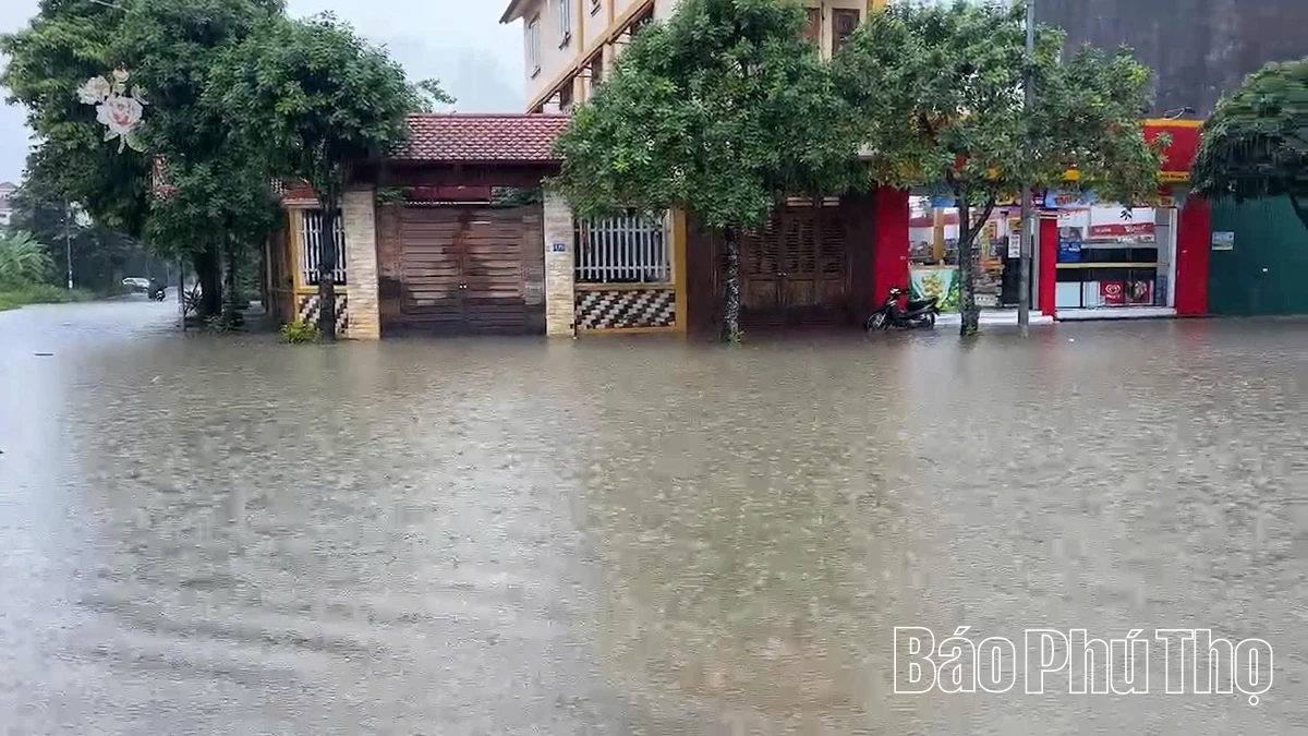 Mưa lớn gây ngập úng tại phường Việt Trì