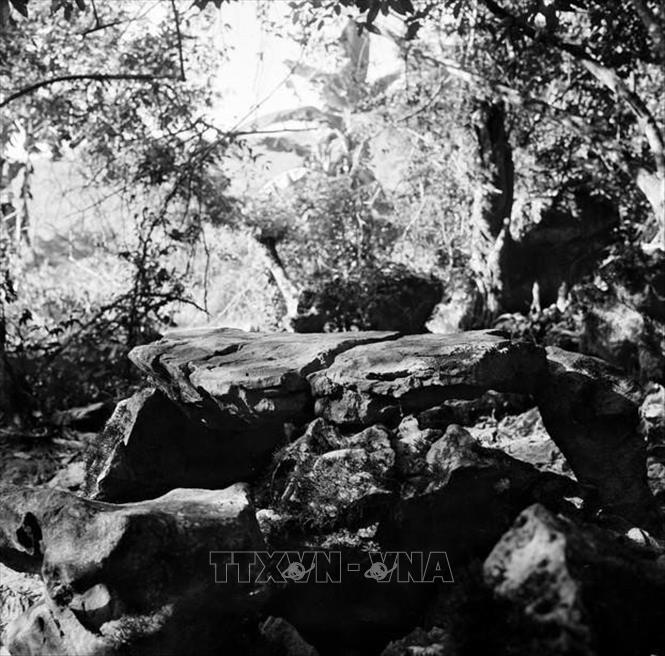 Ch&uacute; th&iacute;ch ảnh