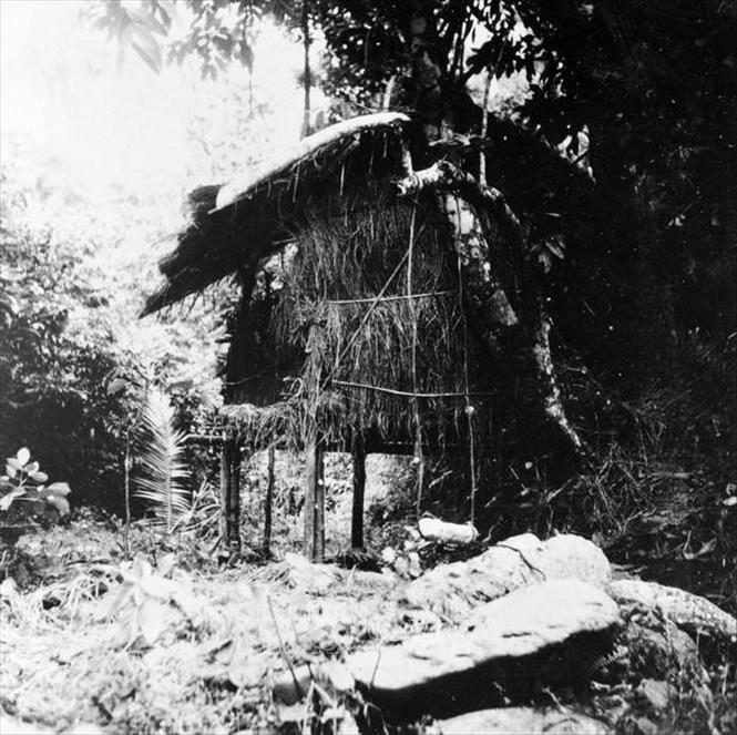 Ch&uacute; th&iacute;ch ảnh