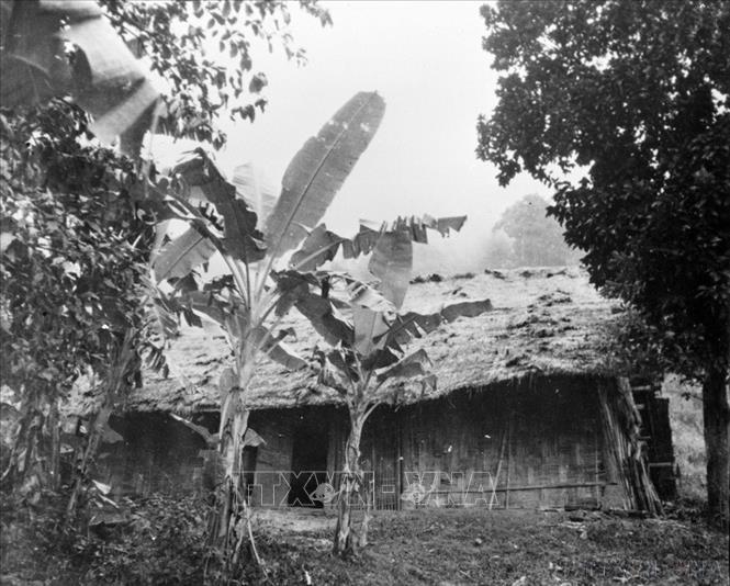 Ch&uacute; th&iacute;ch ảnh