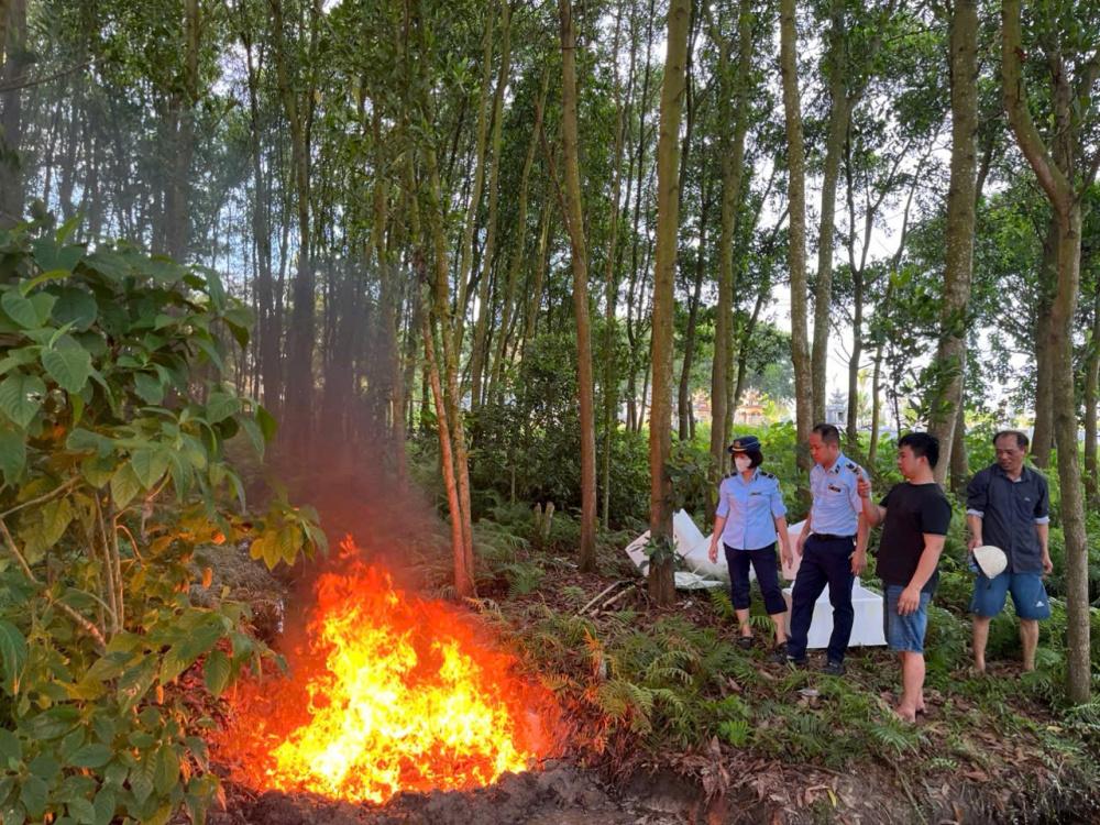 dịch tả lợn châu Phi 