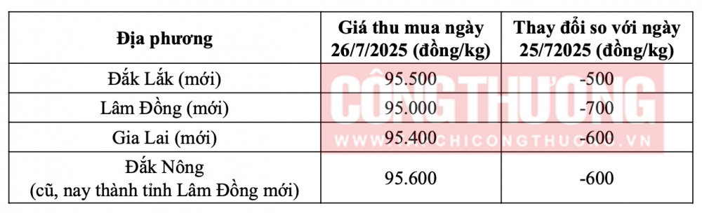 Tham khảo giá cà phê hôm nay ngày 26/7/2025 tại thị trường trong nước (Nguồn: Tạp chí Công Thương tổng hợp)