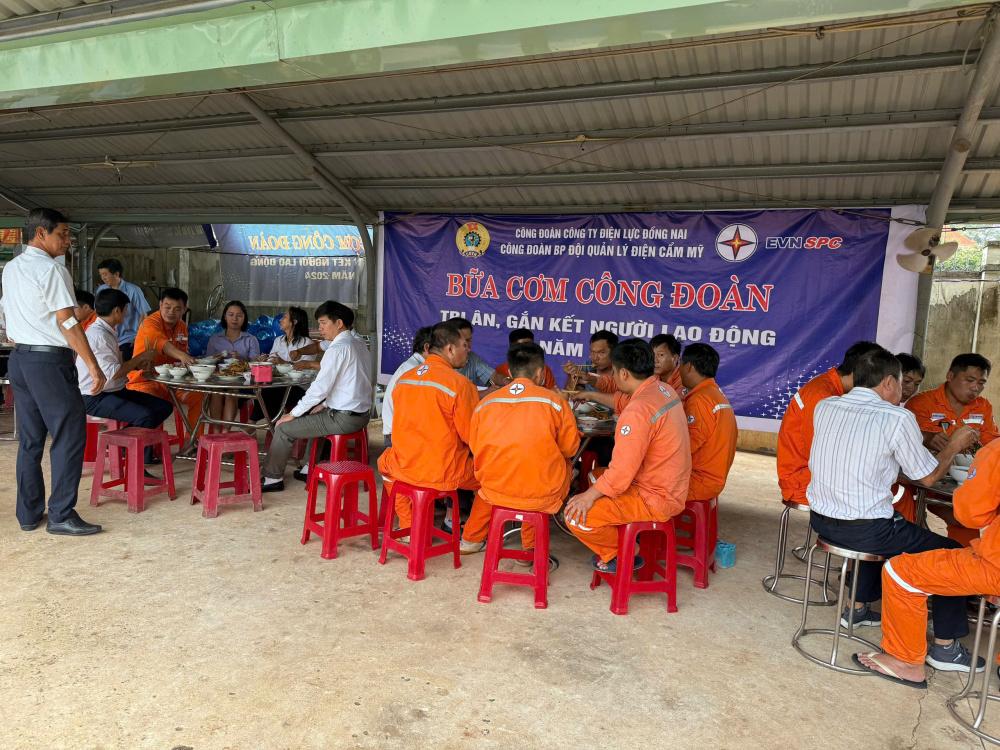 Công ty Điện lực Đồng Nai