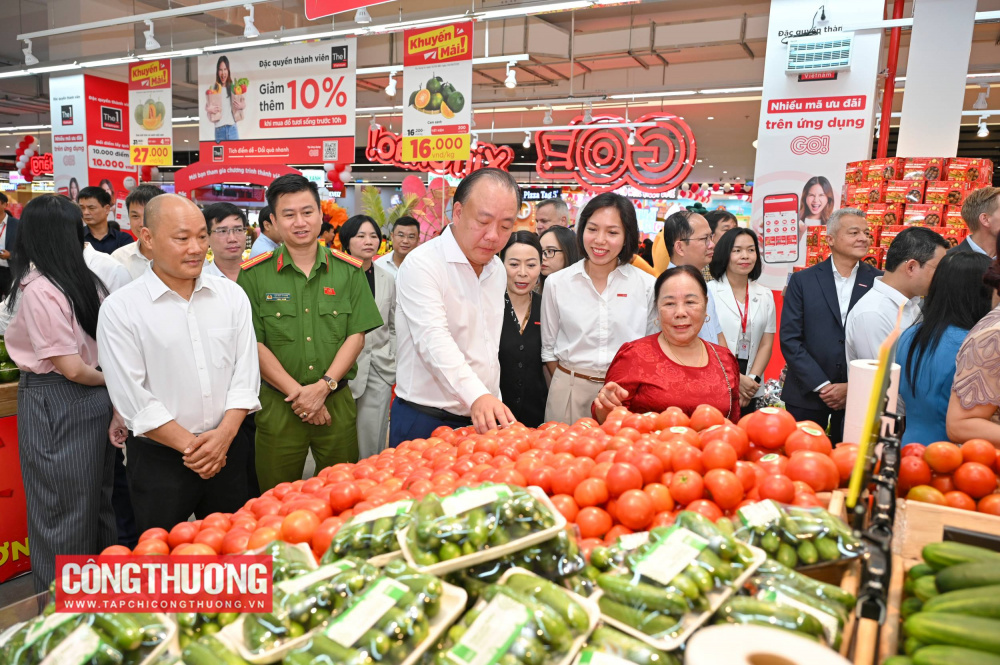 GO! Yên Bái, Lào Cai