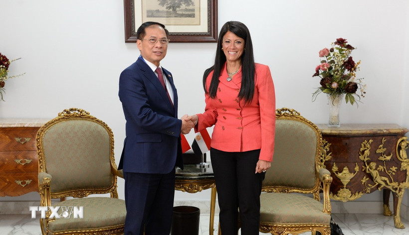 Việt Nam - Ai Cập: Hướng tới FTA và các cơ chế hợp tác mới