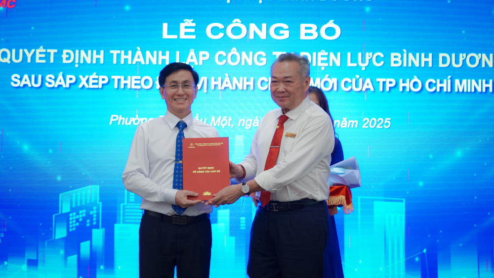 công ty điện lực