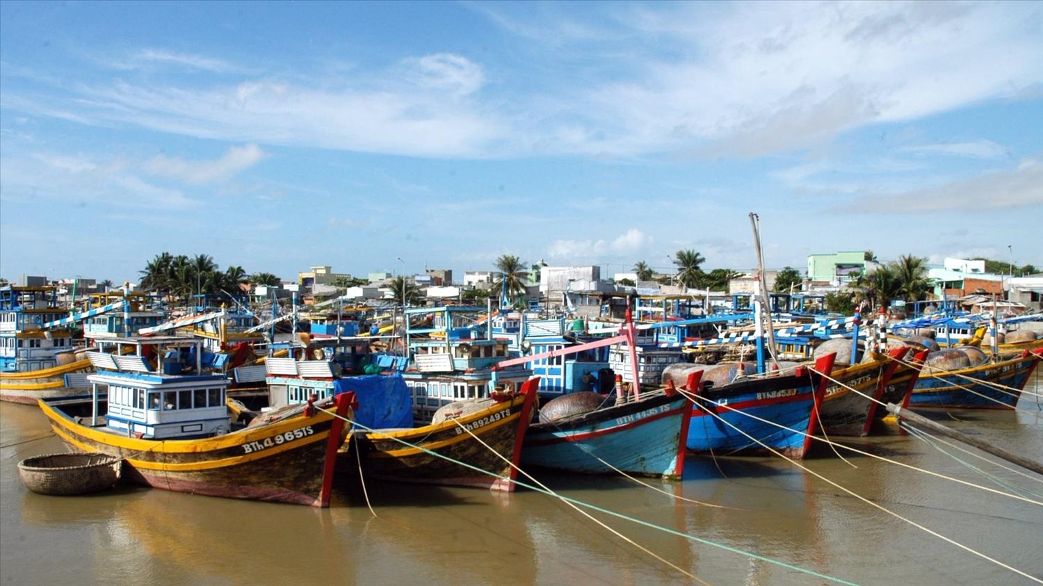 Xã Vĩnh Hảo, tỉnh lầm Đồng hiện quản lý 120 tàu cá, trong đó 9 tàu dài trên 15m đã lắp thiết bị giám sát hành trình. Xã Vĩnh Hảo, tỉnh Lâm Đồng hiện quản lý 120 tàu cá, trong đó 9 tàu dài trên 15m đã lắp thiết bị giám sát hành trình.