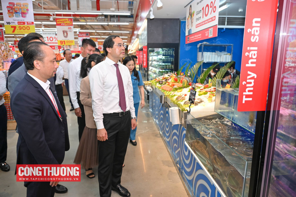 GO! Yên Bái, Lào Cai