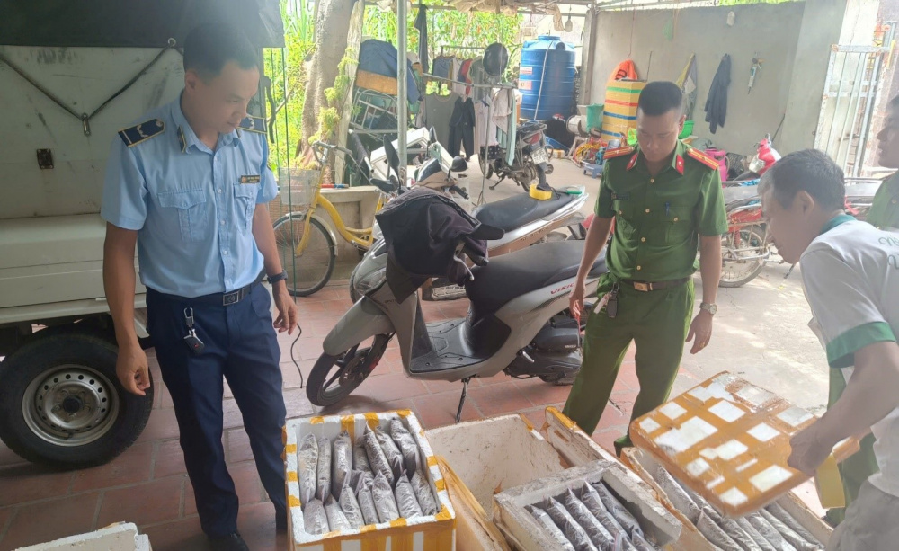 dịch tả lợn châu phi.