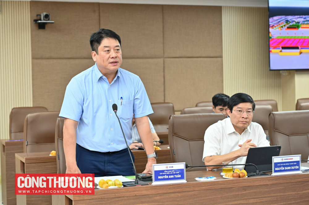 Tổng Giám đốc Tập đoàn Điện lực Việt Nam Nguyễn Anh Tuấn cho biết công tác chuẩn bị cung cấp điện cho các sự kiện dịp lễ lớn của dân tộc đã sẵn sàng