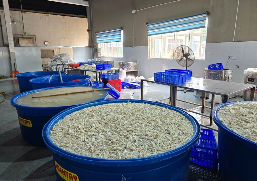 Thanh Hoá: Phát hiện kho chứa 13 tấn chân gà ngâm tẩm hoá chất