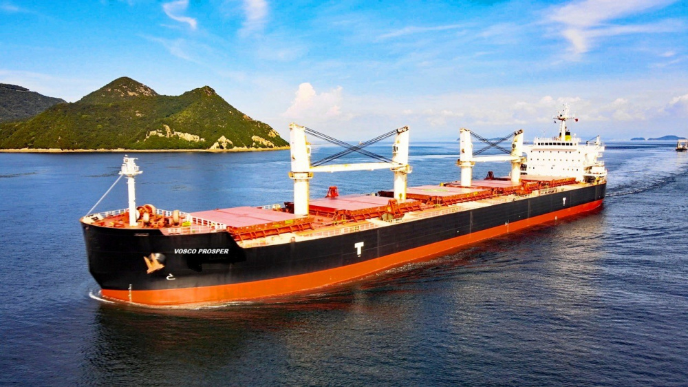 Vận tải biển Việt Nam