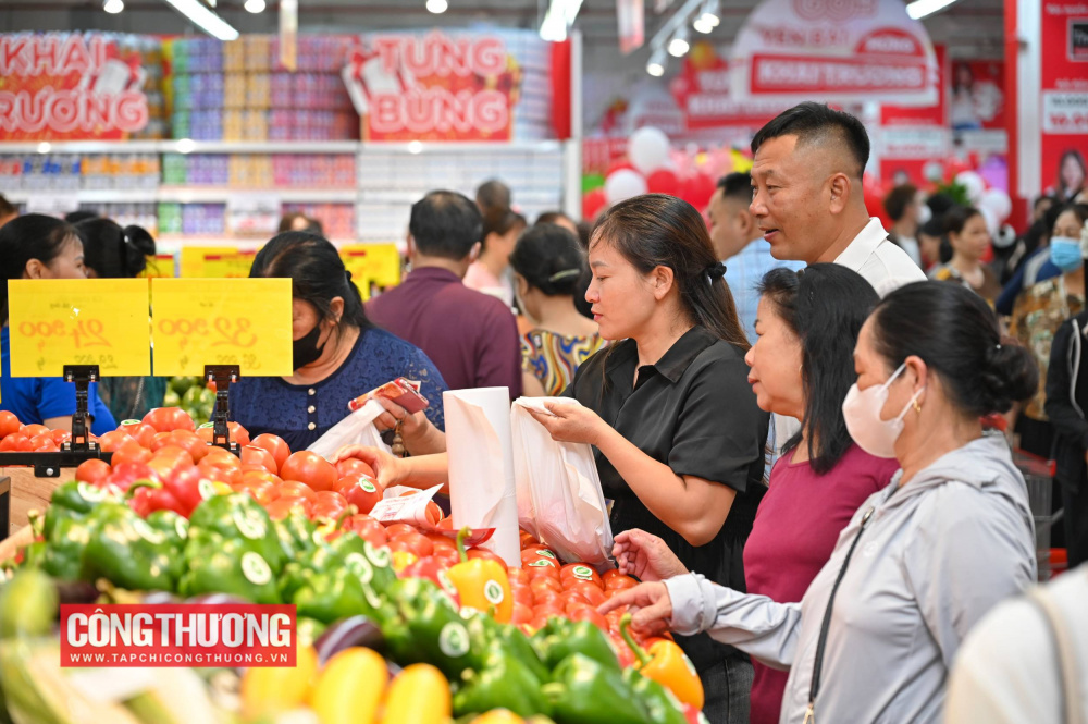 GO! Yên Bái, Lào Cai