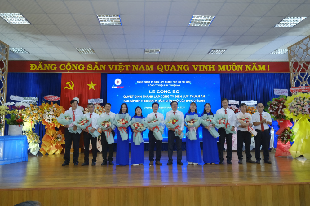 công ty điện lực